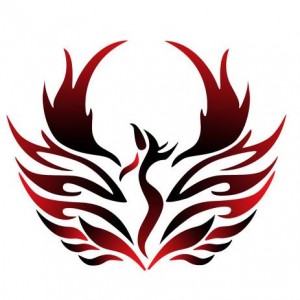 پسکجا-فروشگاه-نرم-افزار-و-سخت-افزار-فونیکس-logo