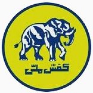 پسکجا-کفش-ملی-logo