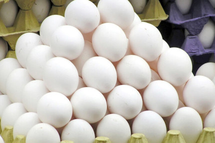 پسکجا-فروشگاه-تخم-مرغ-سورنا