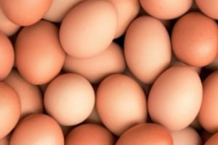 پسکجا-تخم-مرغ-مروارید-عکس کوچک