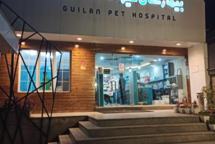 پسکجا-بیمارستان-حیوانات-خانگی-گیلان-عکس کوچک
