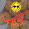 فلافل-آفتاب-logo پسکجا-فلافل-آفتاب-logo